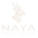 NAYA Ethiopia - Land of Origin