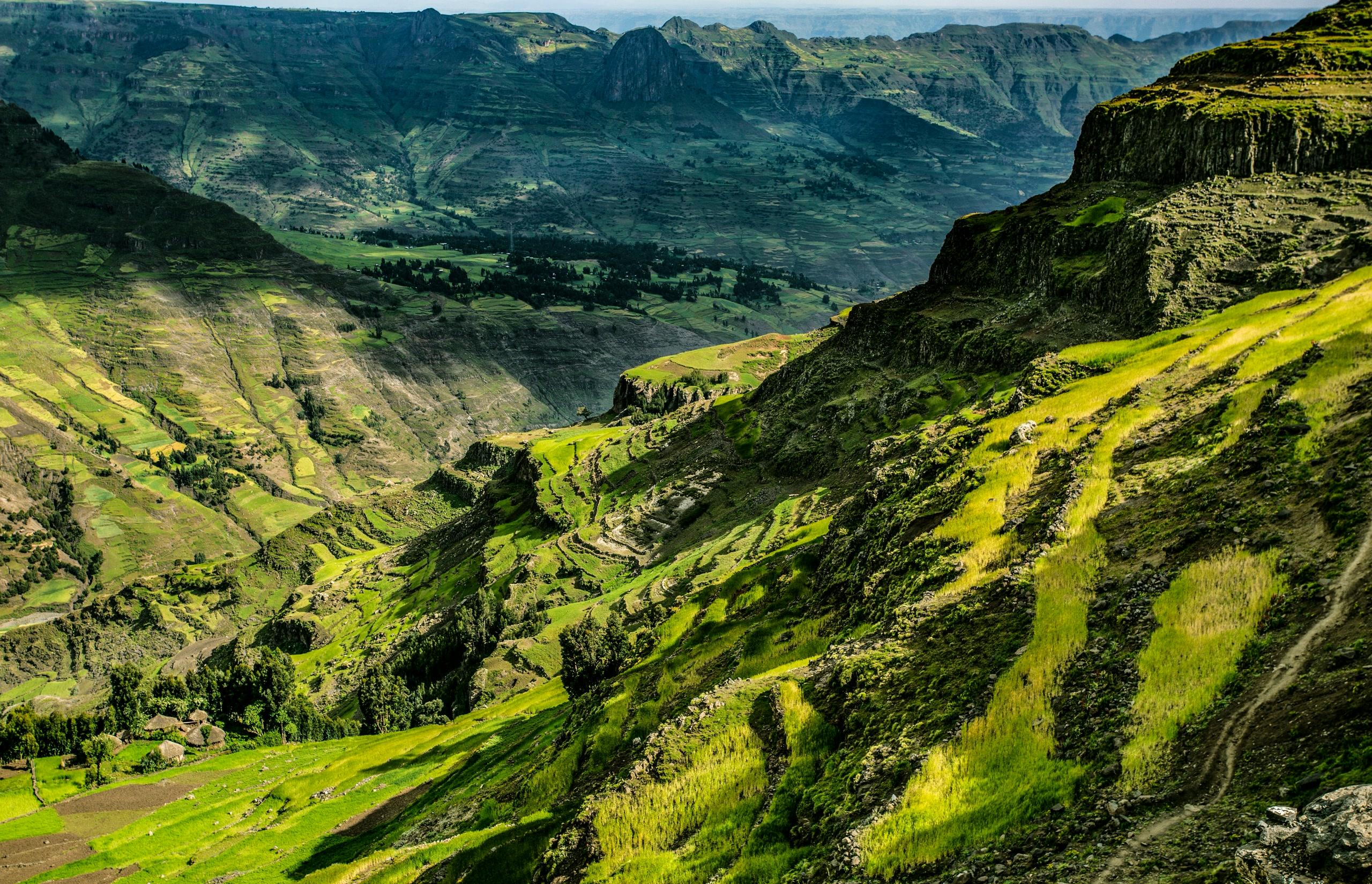 صورة رئيسية لنايا إثيوبيا