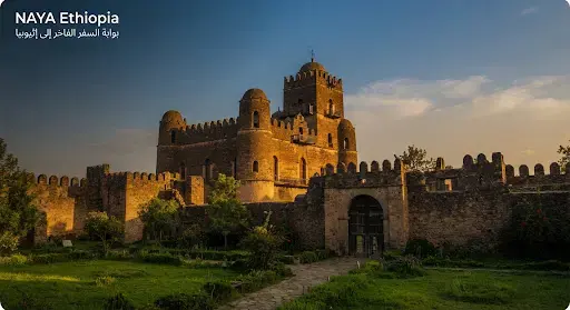 غوندر